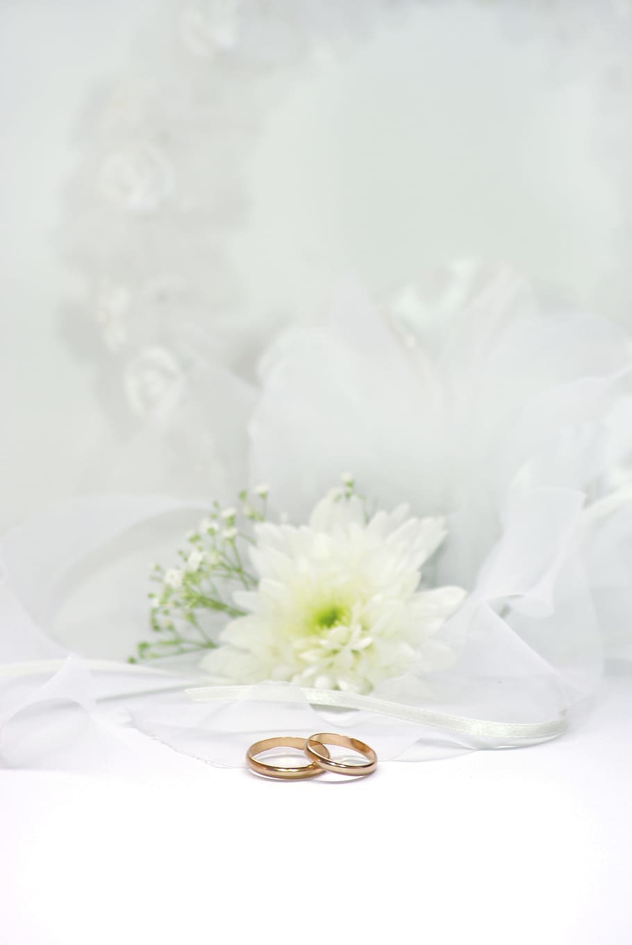 two gold-colored rings, wedding, marry, jewellery, before, romance
