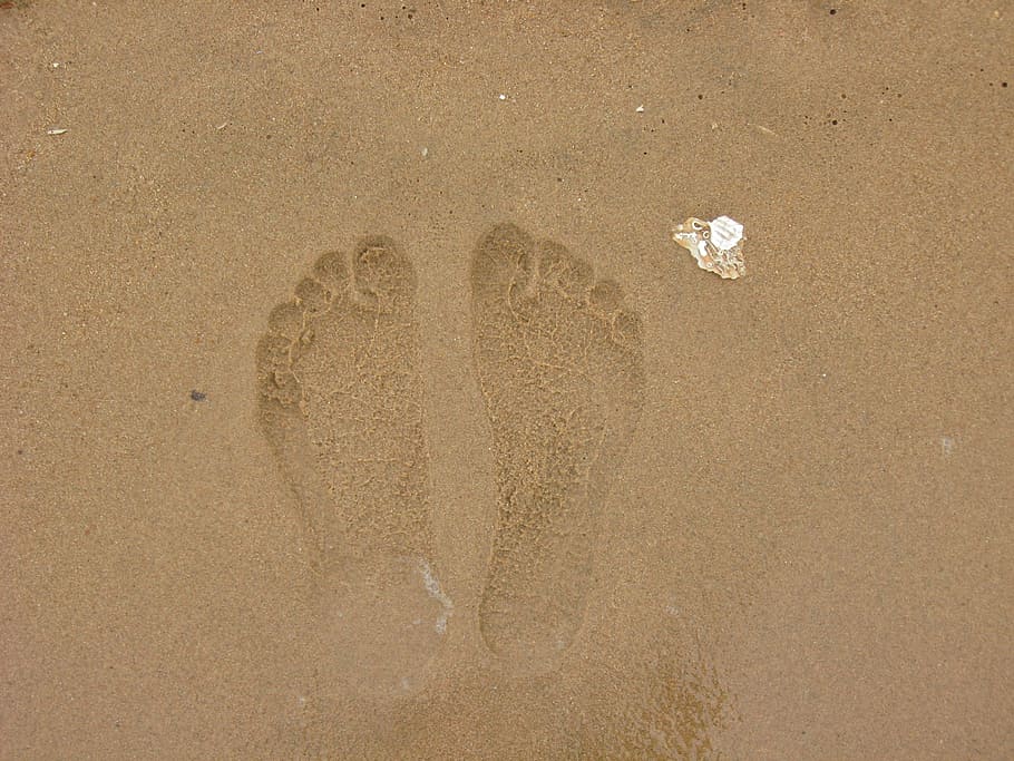 footprints, sha, beach, sand, land, high angle view, heart shape HD wallpaper