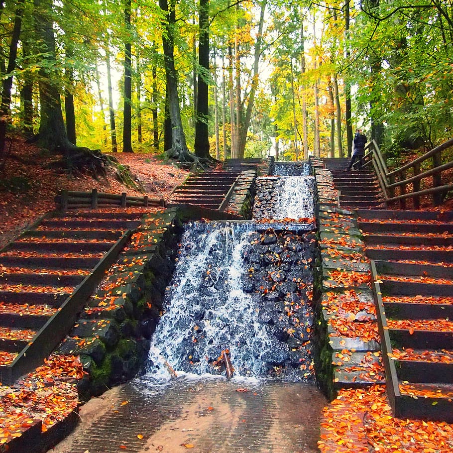 waterfall, leaves, forest, nature, water flow, trees, park HD wallpaper