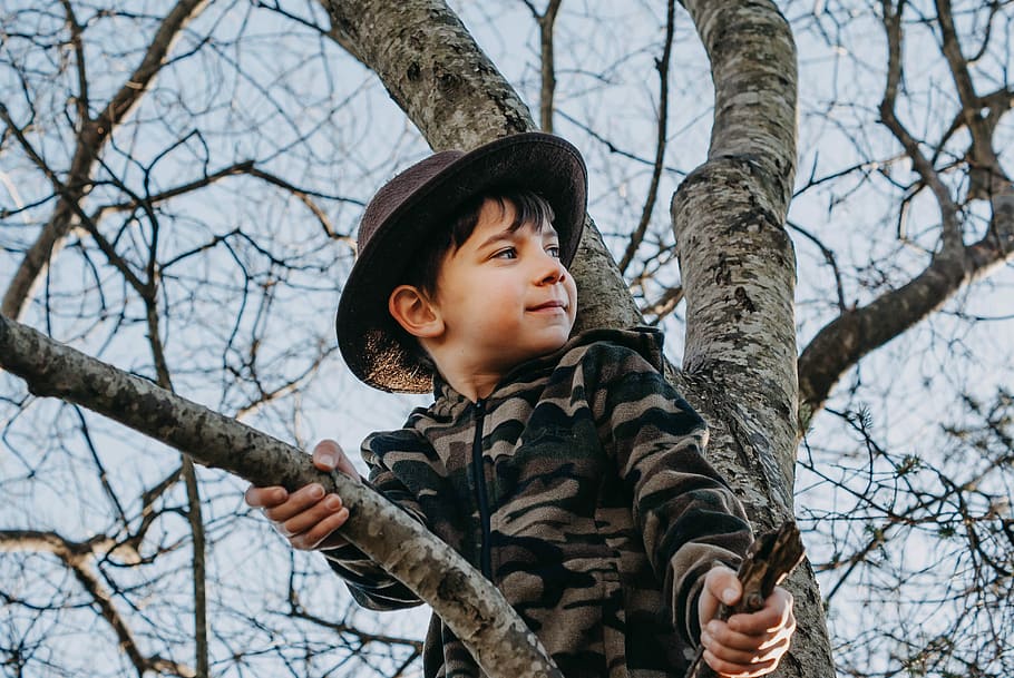 Leo, boy on top of tree, child, climb, hat, bokeh, branch, wood HD wallpaper
