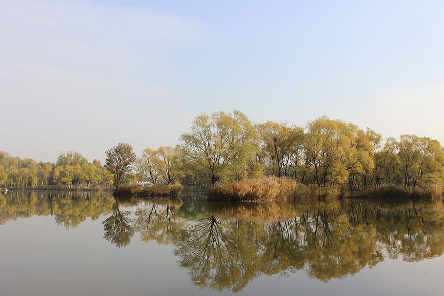 reflection, nature, waters, tree, waterfront, lake, sky, tranquility HD wallpaper