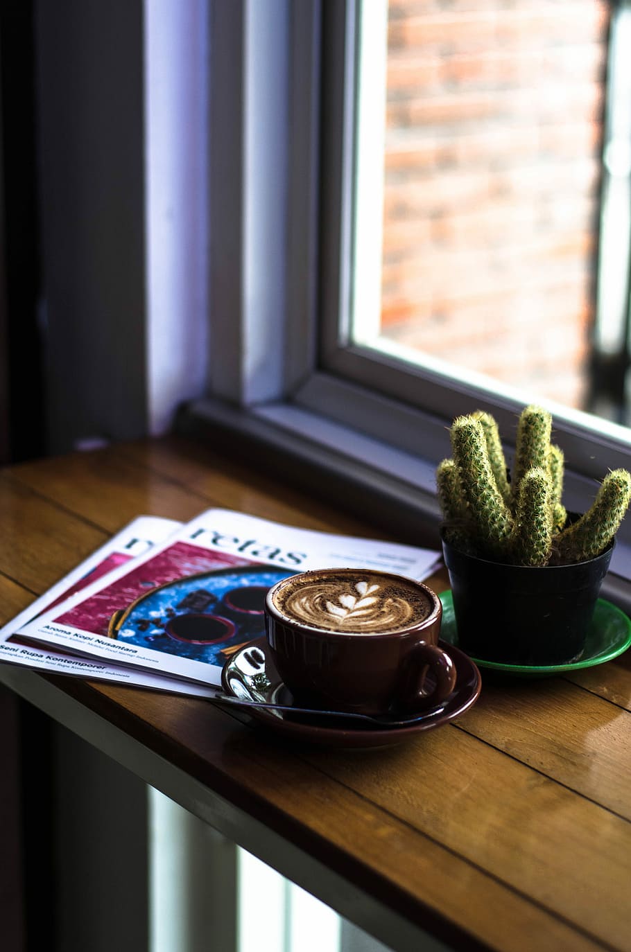 green cactus beside brown ceramic cup with saucer, green cactus beside cafe latte served on brown ceramic cup HD wallpaper