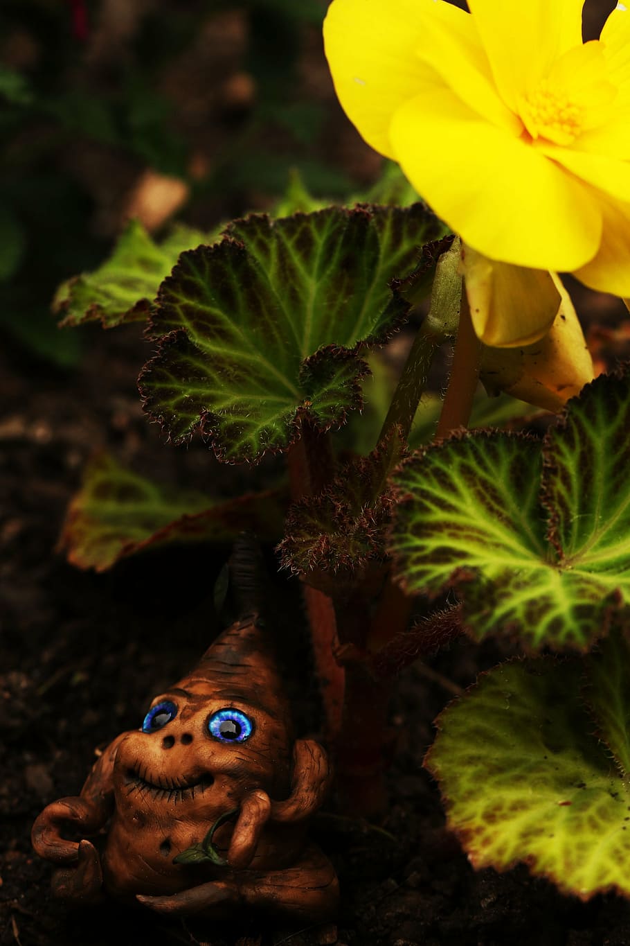 figure, flower, yellow, green, color, creative, plant, nature HD wallpaper