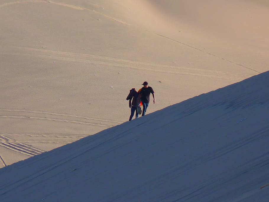 Dune, Desert, Dry, Hot, Sand, Ridge, rise, heat, riding, horseback riding HD wallpaper