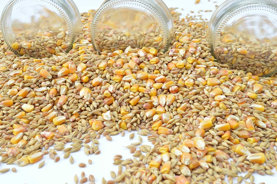 Grain, Barley, Wheat, but, large group of objects, abundance HD wallpaper