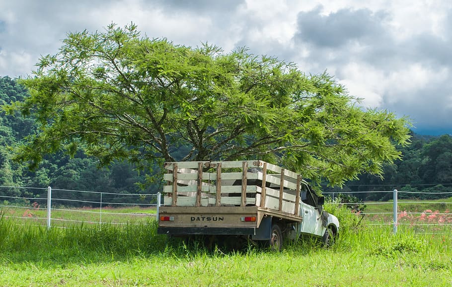 Truck, Tree, Landscape, Colima, broken truck, clouds, fence HD wallpaper