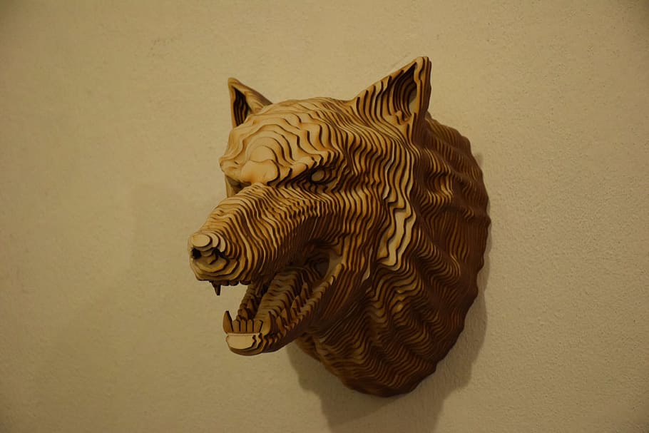 Head, Wolf, Tree, Animals, Wall, living nature, contemporary art HD wallpaper