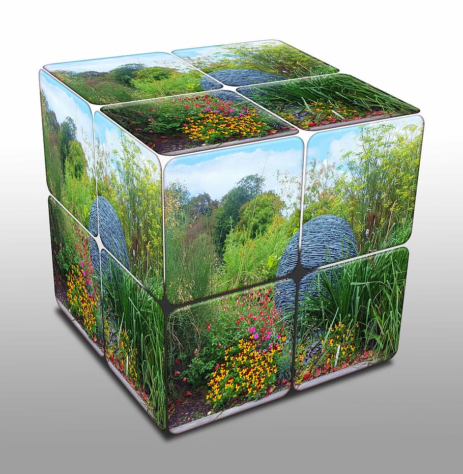 cube, flowers, slate, ball, floral, grass, decorative, natural HD wallpaper