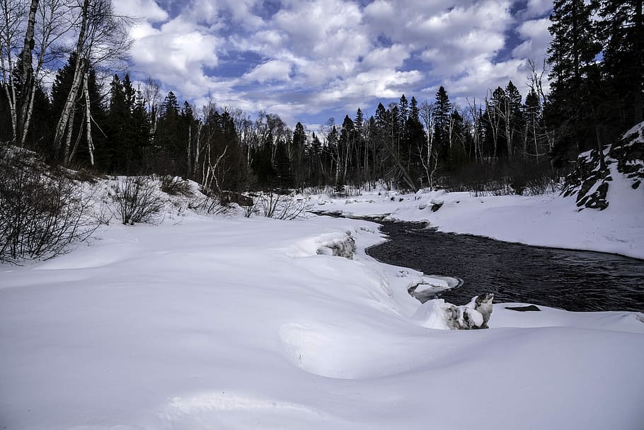 Winter Scenic with trees with snow and ice in Temperance River State Park, Minnesota HD wallpaper