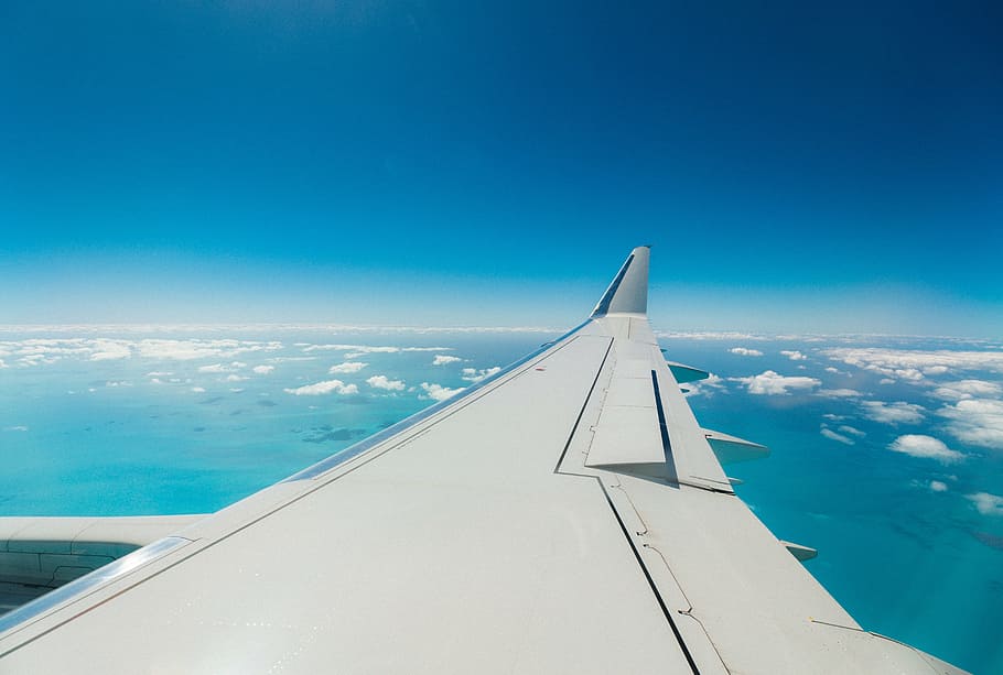 white airplane wing at daytime, airline, travel, trip, blue, sky