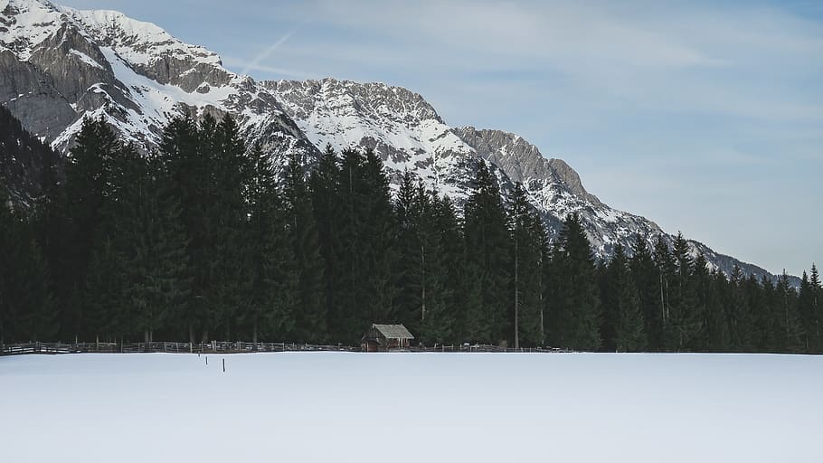 photo of trees near mountain alps, snowy mountan, Day, Farewell HD wallpaper
