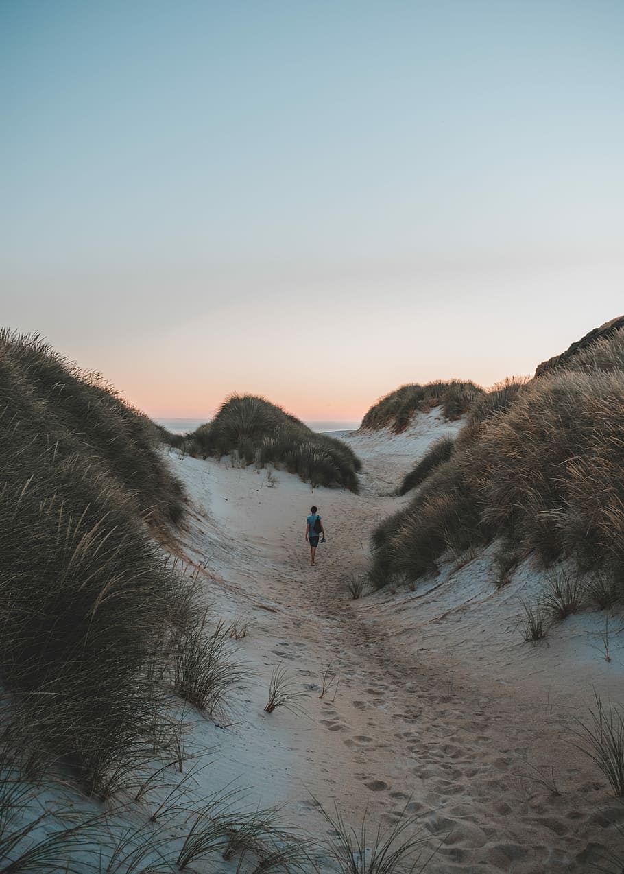 person walking on sand near grass field, person walking between grass under gray sky HD wallpaper