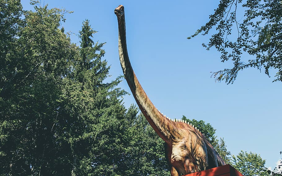 dinosaur, plant, tree, day, nature, sky, one person, green color HD wallpaper