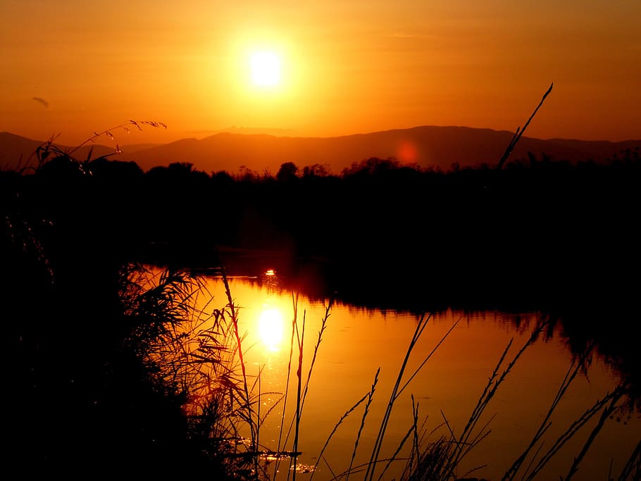 sunset, water, sky, red, cane, orange, fire, orange color, reflection HD wallpaper