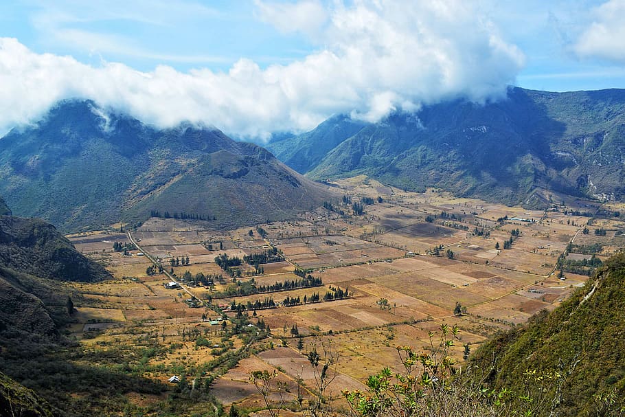 aerial view of mountains with green trees, landscape photography of rice field HD wallpaper