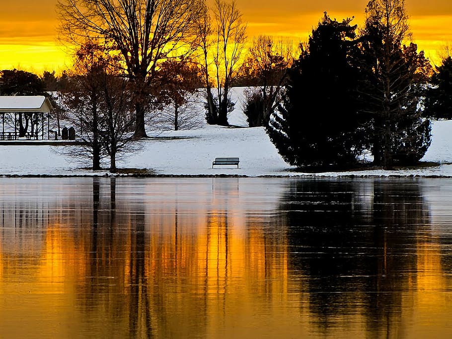 Nature, Reflection, Water, Lake, art, tree, sunset, winter HD wallpaper