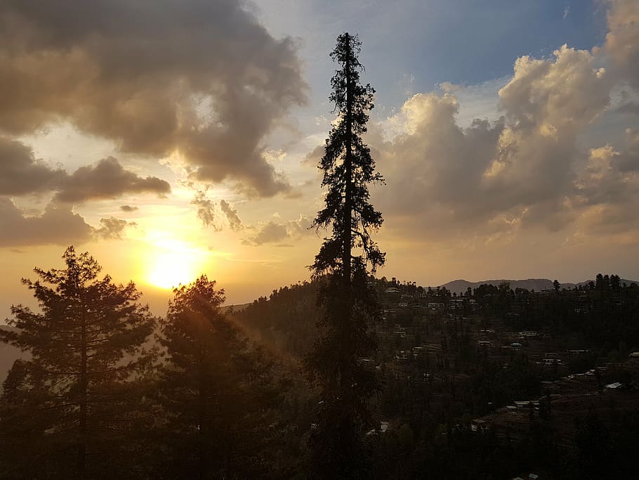 sunset, tree, mountains, sky, plant, cloud - sky, beauty in nature HD wallpaper
