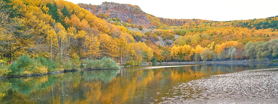 autumn, season, landscape, nature, beautiful, background, outdoor, HD wallpaper