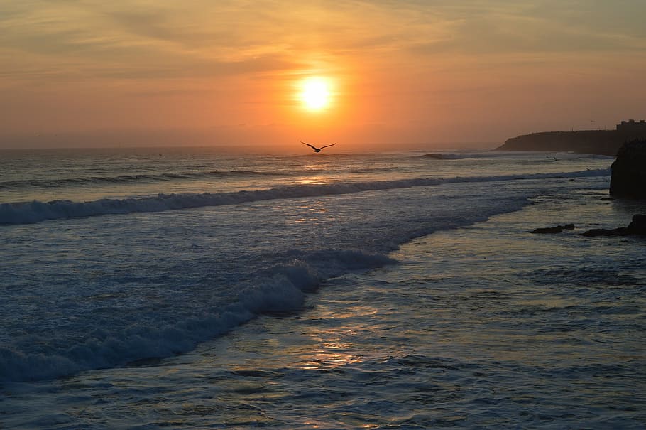 sunset, beach, ocean, coast, dusk, shore, romantic, sea, water HD wallpaper