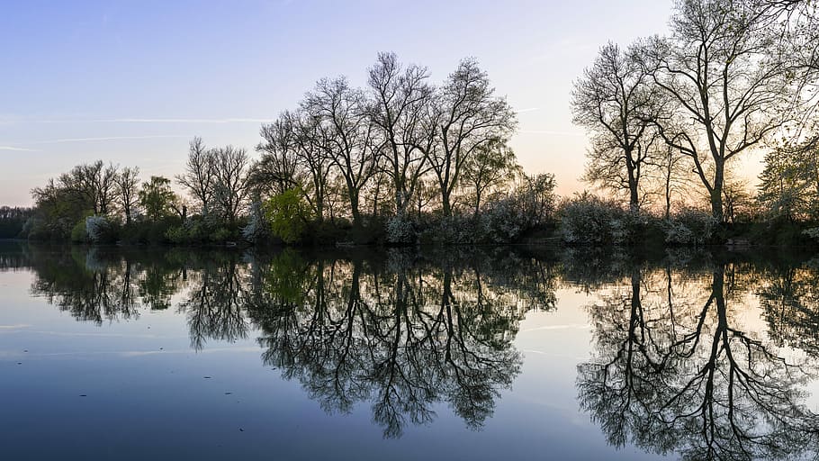 trees reflecting on the lake, panorama, nature, reflection HD wallpaper