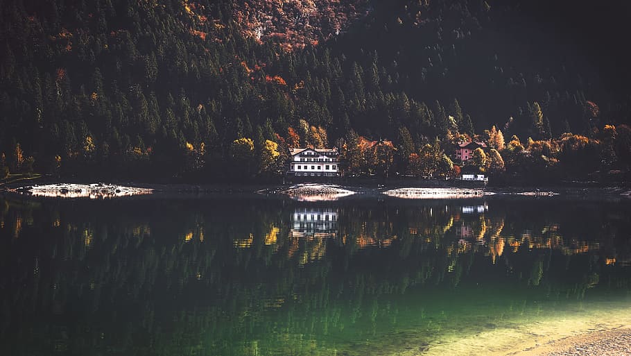 wooden house near mountain with trees and lake at daytime, body of water surrounding trees HD wallpaper