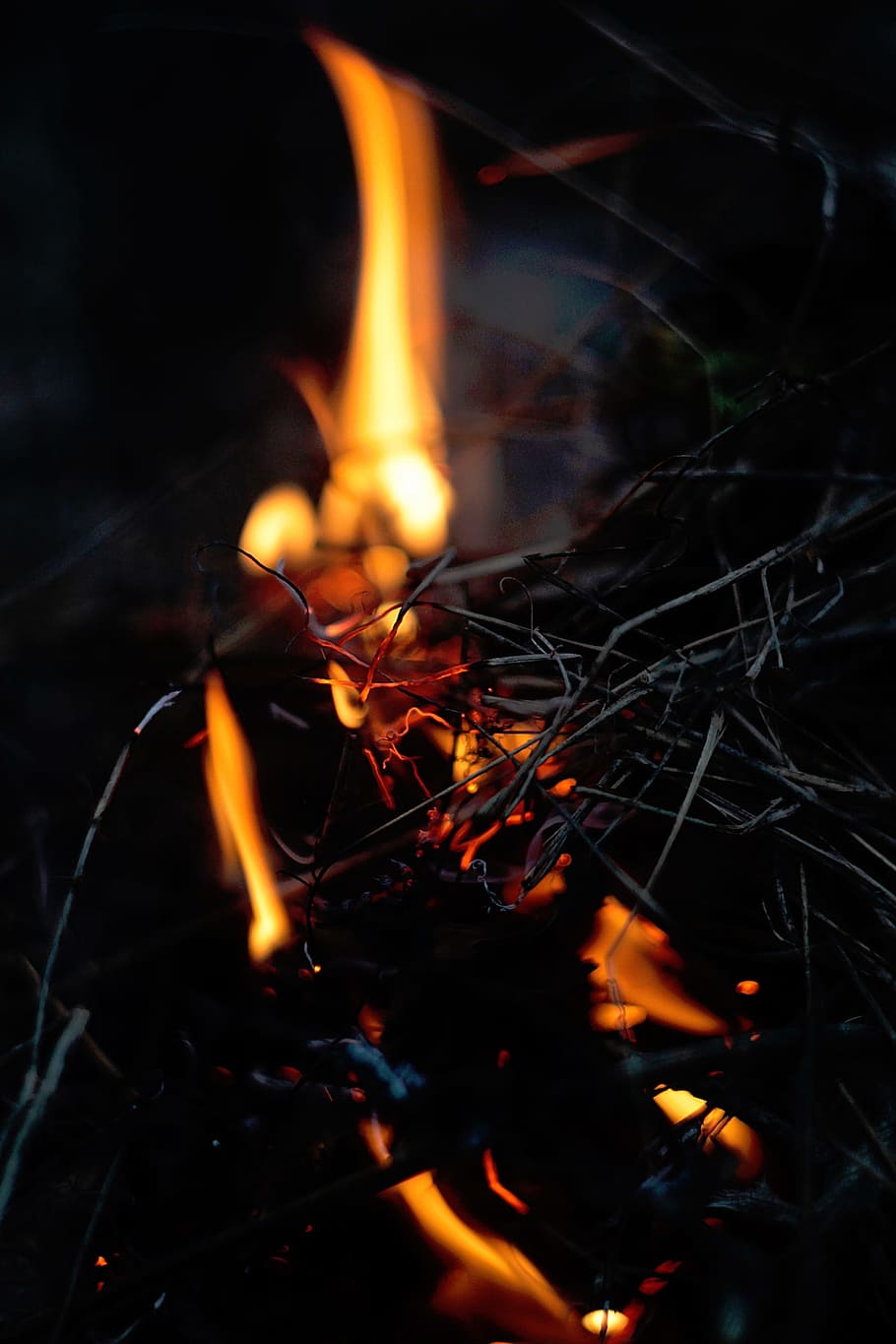 fire, twigs, bonfire, black, orange, heat - temperature, flame HD wallpaper