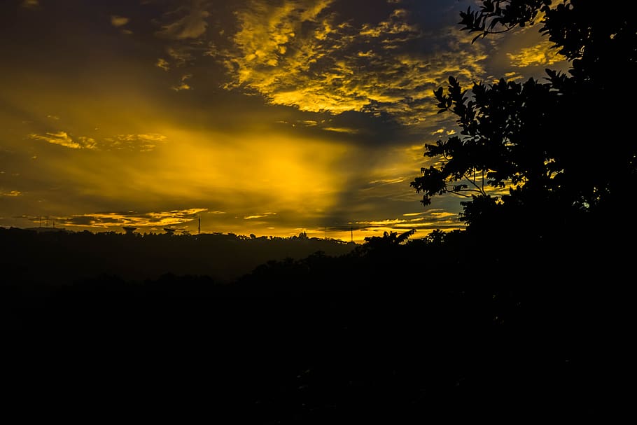 twilight, hill, the tree, cloud - sky, silhouette, beauty in nature HD wallpaper