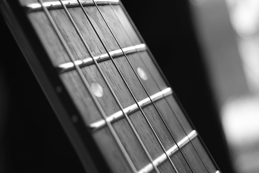 Guitar, Instruments, Music, approach, ropes, blancoynegro, musical instrument string HD wallpaper
