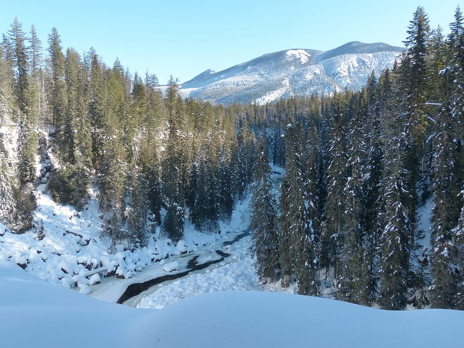 winter, ice, snow, cold, season, nature, landscape, outdoor HD wallpaper
