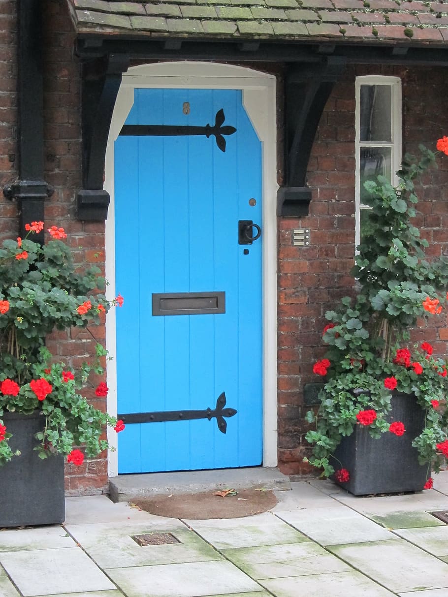 blue, door, roses, stone, architecture, london, entrance, doorway HD wallpaper