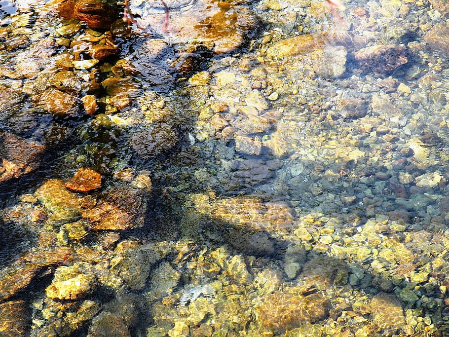 Stream, Water, Background, Calm, Nature, clean, flow, purity HD wallpaper