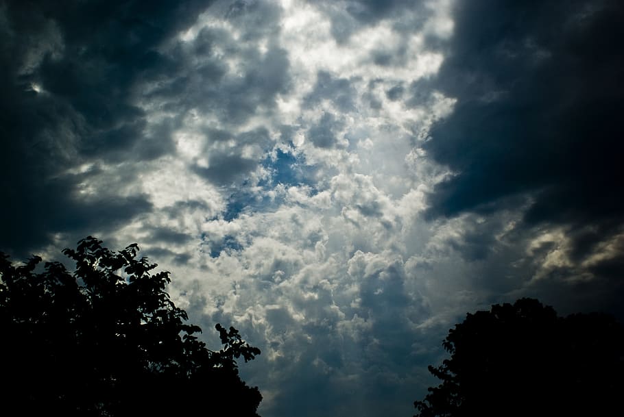 clouds, sky, opening, cloud - sky, tree, beauty in nature, tranquility HD wallpaper