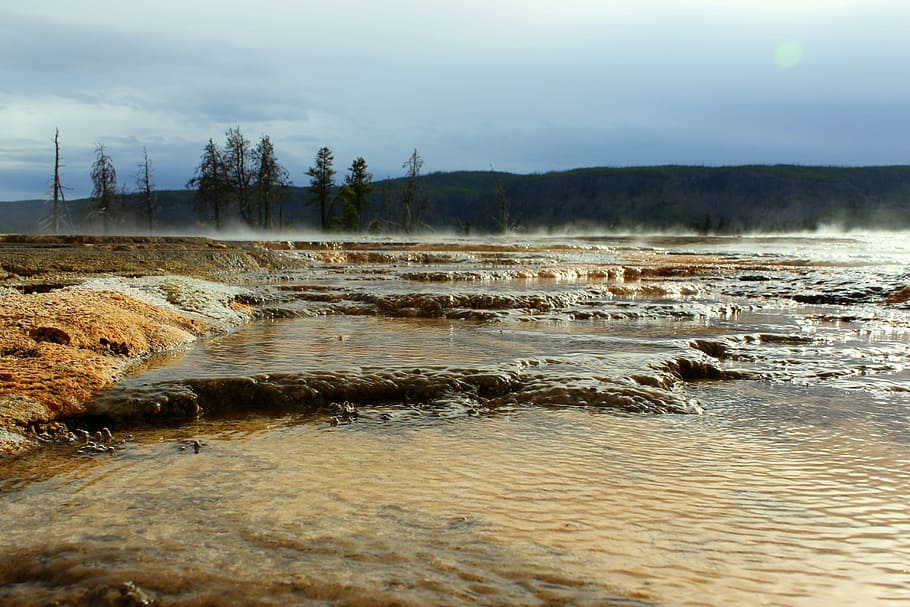 national park, water, forest, gradually, usa, landscape, yellowstone HD wallpaper