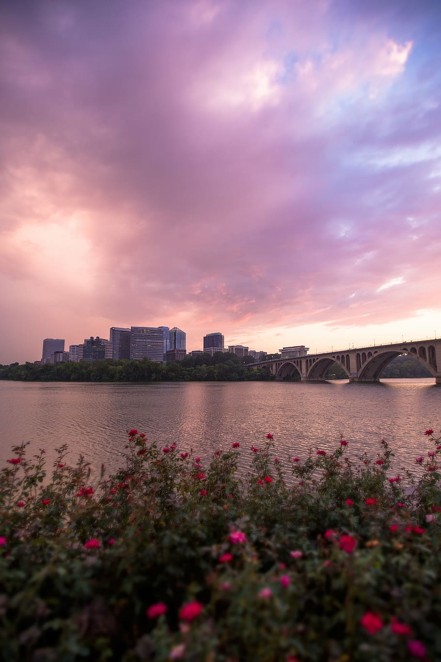 architecture, blur, bridge, buildings, clouds, dawn, flowers HD wallpaper