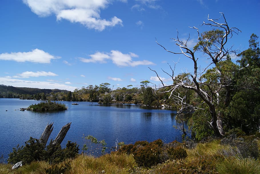 Lake, Cradle Mountain National Park, hiking, nature, scenic, tasmania, HD wallpaper