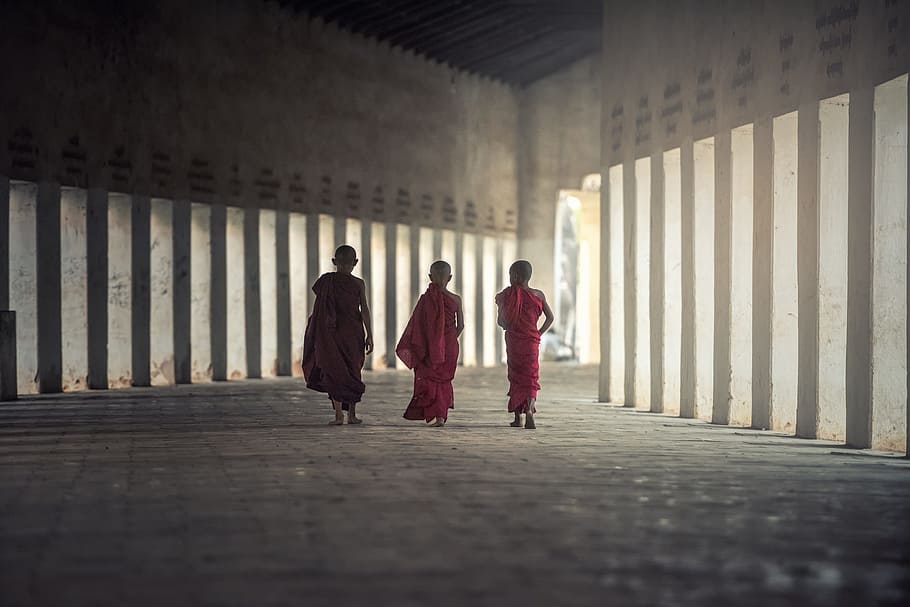 three Buddist monks walking beside each other, asia, burma, faith, HD wallpaper