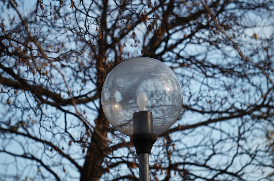 light, lamp, tree, park, sphere, low angle view, bare tree HD wallpaper