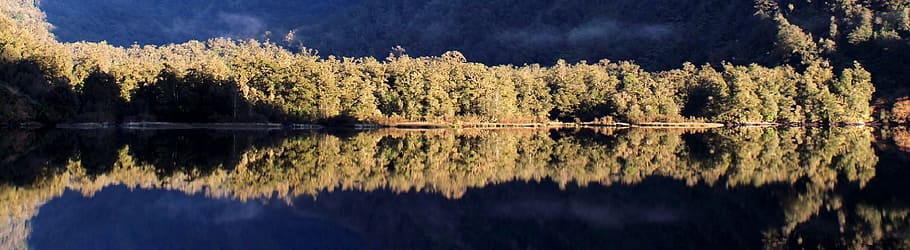 water reflection, trees, quiet, mirroring, nature, landscape HD wallpaper