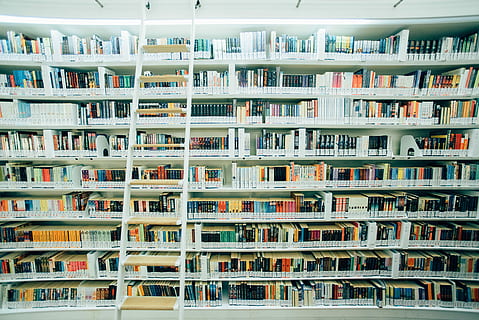 white wooden ladder on white bookshelf inside lighted room, assorted books on white book shelf HD wallpaper