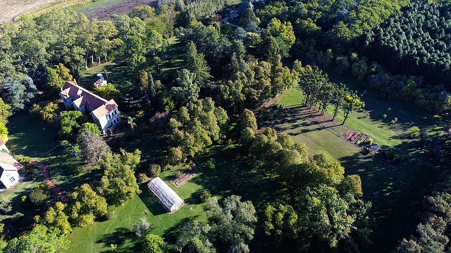nature, landscape, panoramic, forest, drone, panoramic view HD wallpaper