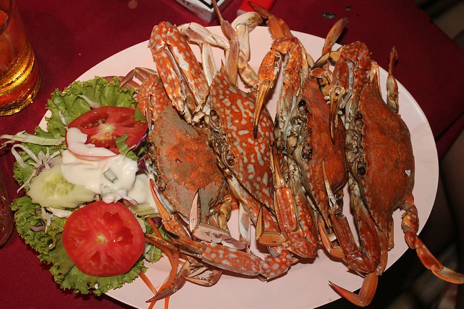 food, crabs, seafood, gourmet, dinner, food and drink, freshness HD wallpaper