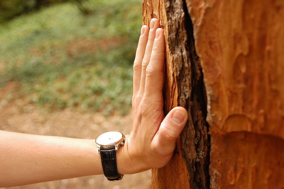 hand, hiker, hiking, resting, human body part, human hand, one person HD wallpaper
