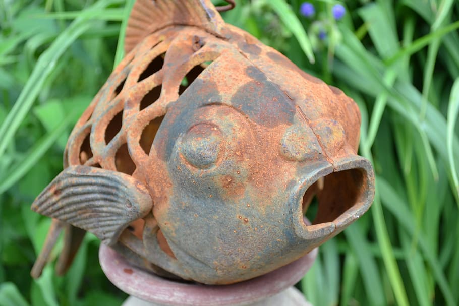 fish, rustic, antique, artifact, rusty, close-up, metal, plant HD wallpaper