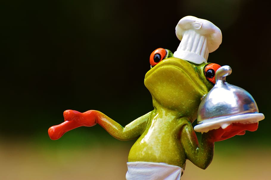 selective focus photography of chef red-eye frog, cooking, eat