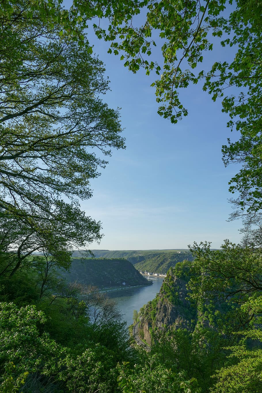 green leafed trees near river during daytime, loreley views, maria ruh, HD wallpaper