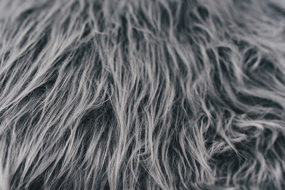 Scandinavian pillows, closeup, decor, decorations, nordic, home decor HD wallpaper