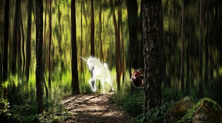 unicorn on forest during daytime, elf, fantasy picture, photo montage, HD wallpaper