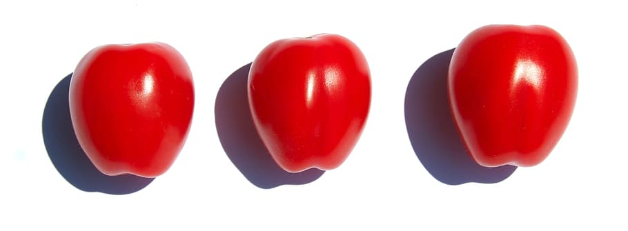 tomatoes, align, red, food, tomato red, vegetables, white background HD wallpaper