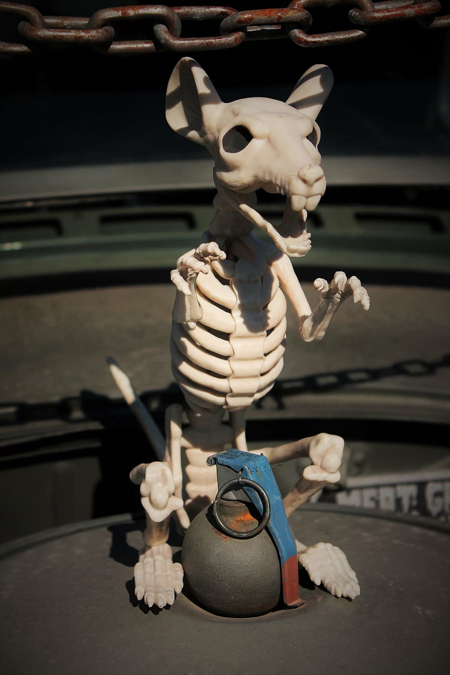 skeleton rat, grenade, insane, creature, dead rat, snarling, HD wallpaper