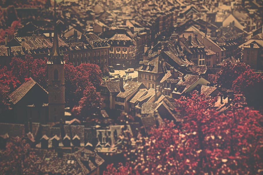top view of village surround red trees, photo, building, near HD wallpaper
